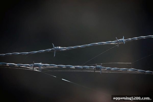 真人电子游戏视角：欧洲平台免实名出款趋势与风险深度解析