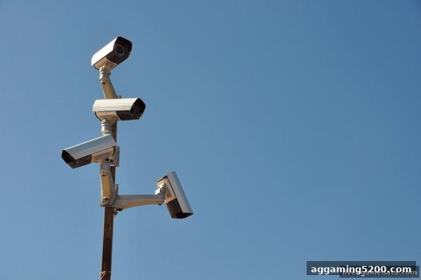真人电子游戏平台牌照甄别指南：一文看懂资质认证与安全陷阱